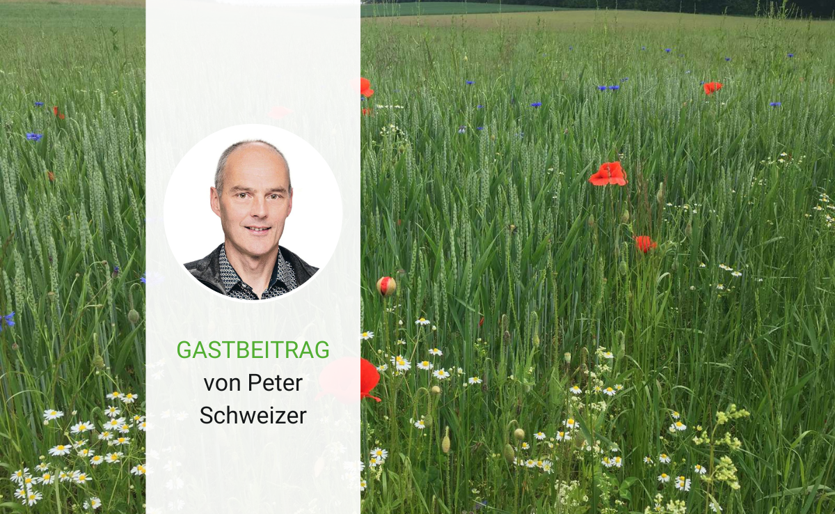 Biodiversitätszahlungen sollte man neu denken