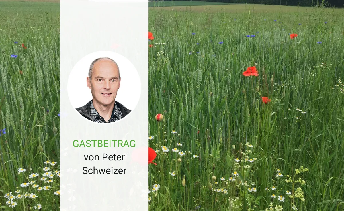 Artikel_Gastbeitrag_BauZ_SchweizerBiodiv Biodiversitätszahlungen sollte man neu denken