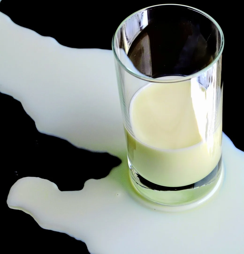 milch 126 Millionen Kilo Milch sollen weg – aber wie?