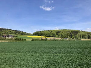 Immer mehr Landwirtschaftsbetriebe wenden sich dem biologischen Landbau zu. Im Jahr 2022 bezifferte sich ihre Zahl auf 7819. Das heisst: Fast jeder sechste Betrieb (16,2%) war ein Biobetrieb. Im Vergleich zum Vorjahr ist deren Zahl um 149 Einheiten respektive 1,9% gestiegen.