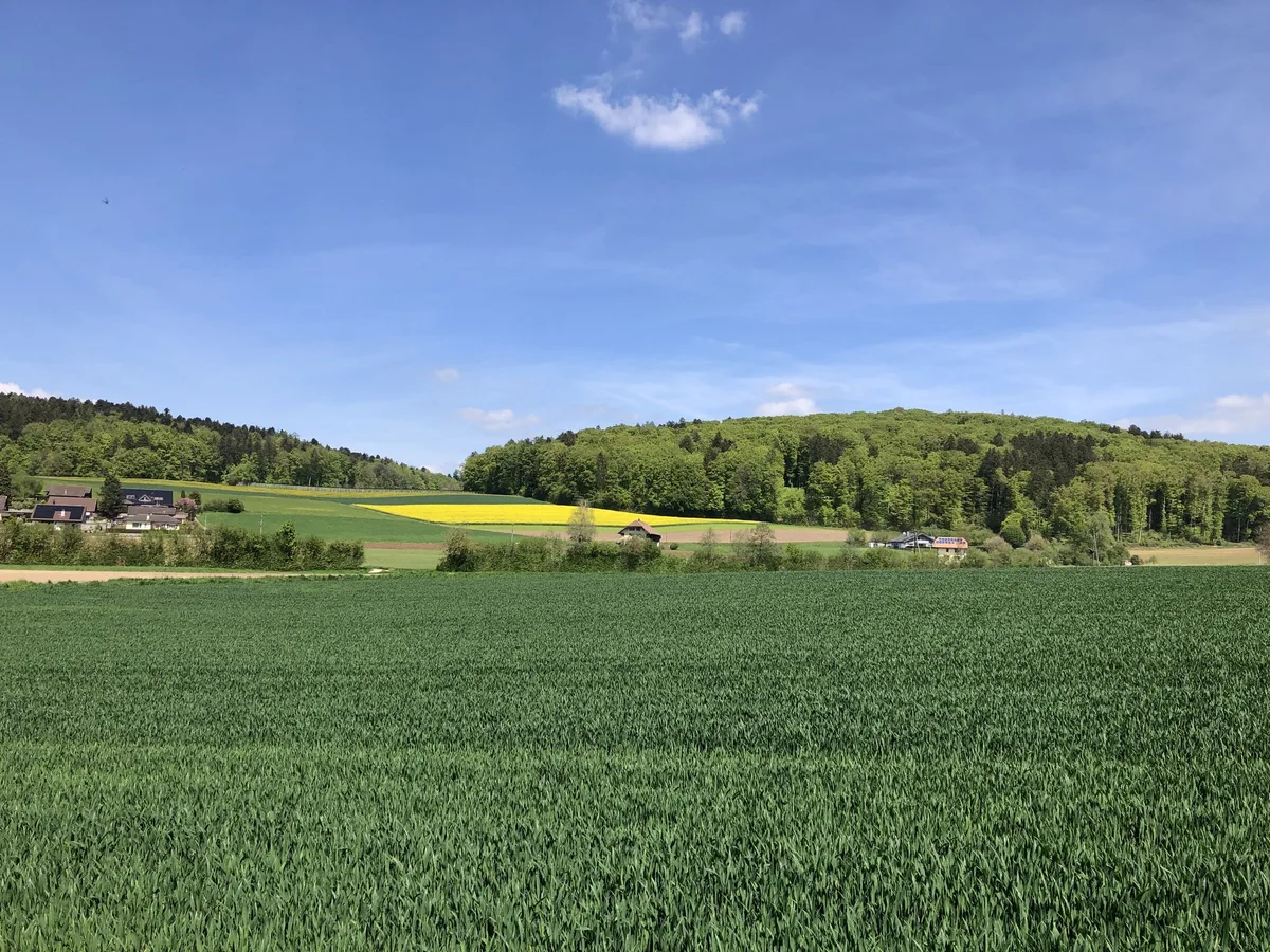 IMG_4035 Fast jeder sechste Betrieb arbeitet biologisch