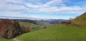 Die Dorfmatten, ein Gebiet in der Nähe von Schwarzenburg im Kanton Bern, haben seit 2019 eine Internetverbindung via Richtfunk. Das ist eine Alternative, wenn kein Anschluss ans Glasfasernetz besteht. Es braucht aber die Initiative der Bevölkerung.