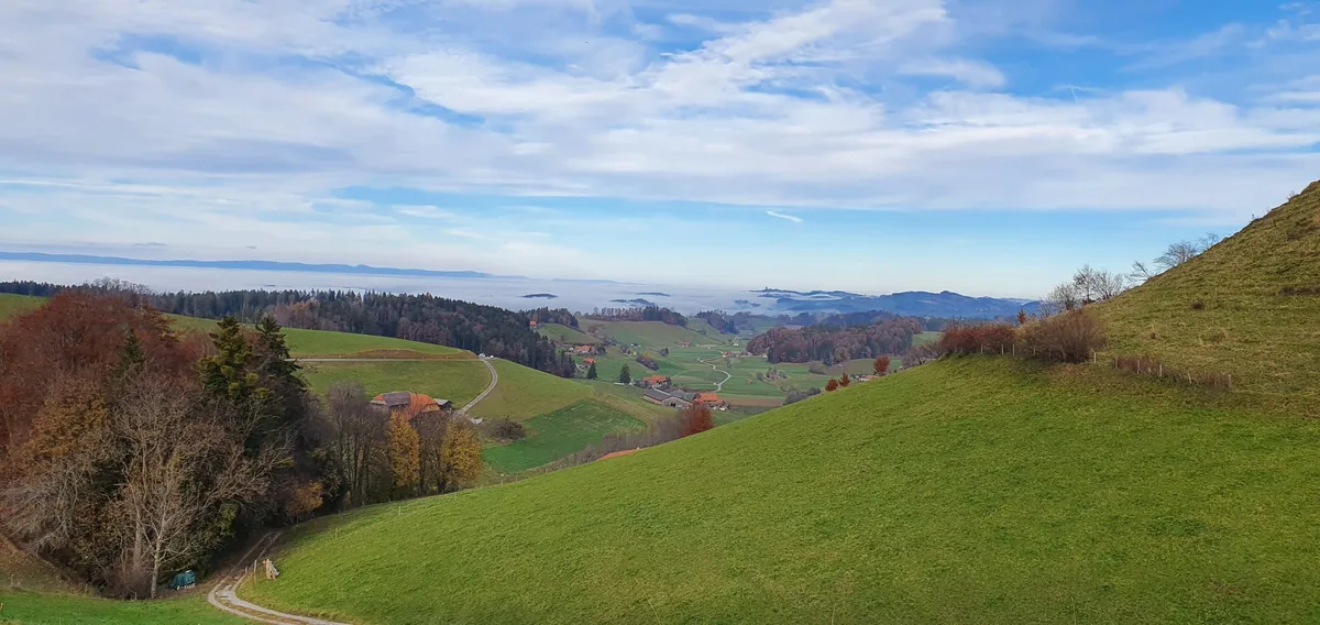 Sera_Jammertal Langstrecken-WLAN – eine Alternative, wenn die Internetverbindung über Kabel versagt