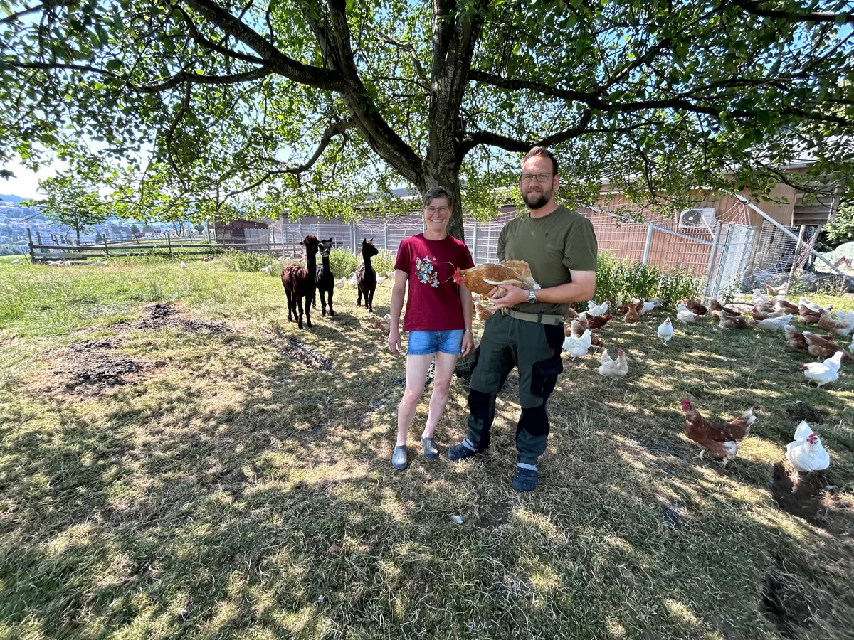 OS_31_1Rusch_Herisau.jpg Karin und Beat Rusch halten Zweinutzungshühner. Zum Schutz gegen Füchse sind drei Alpakas in der Hühnerherde.