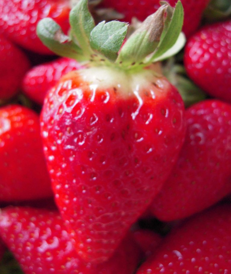 Der Konsum von Erdbeeren hat in den letzten Jahren zugenommen. (Bild Susanne Gremminger/landwirtschaft.ch)