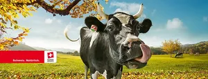 Die Swissmilk-Kampagne kommt international gut an. (Bild Swissmilk)