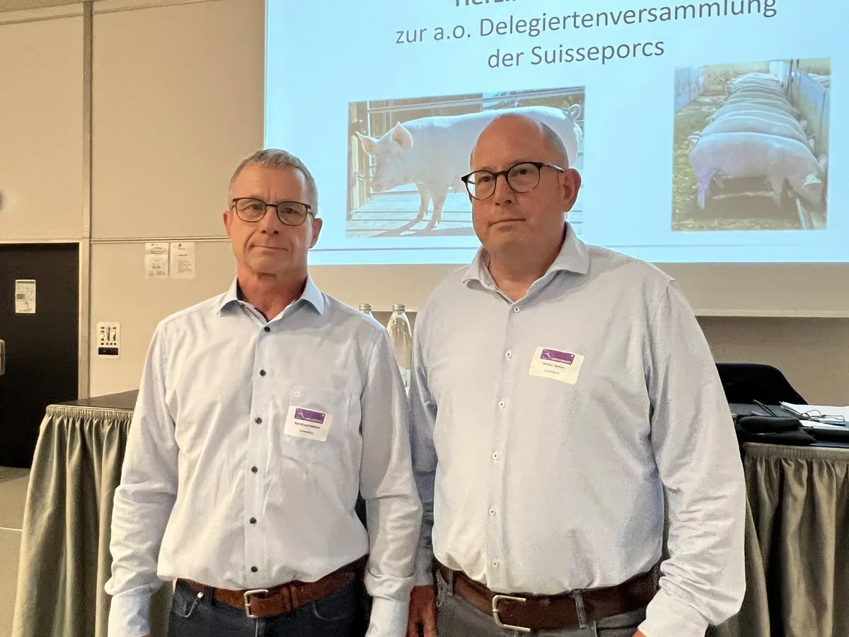 Bild_suisseporcs Suisseporcs-Delegierte haben entschieden: Stilllegungsbeitrag kommt hauchdünn nicht