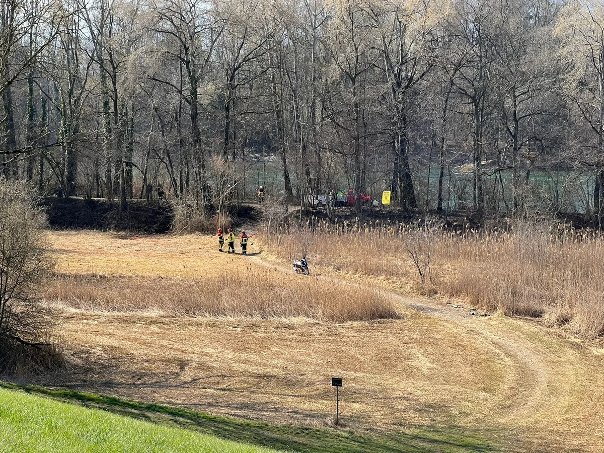 Knaben entfachen im Naturschutzgebiet des Aareufers ein Feuer