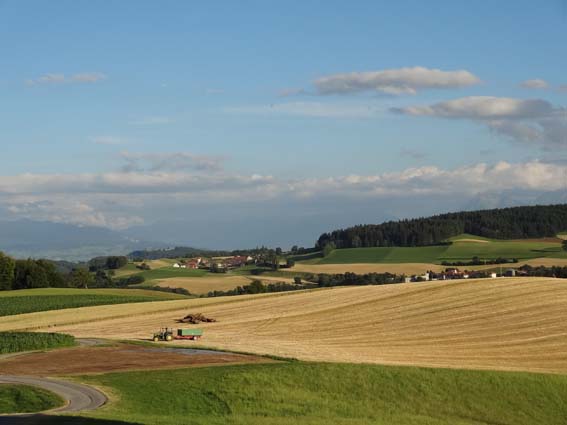 Die Durchschnittserträge sind heuer bei allen Kulturen tief ausgefallen. (Bild lid)