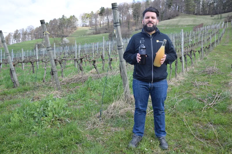 de8ed7249ceaf6b57cfec72b2ca6418398346544 Michele Bono, Betriebsleiter Rebbau und Trotte am Strickhof, hat sichtlich Freude an seinen Trendprodukten: Orange Wine (links) und Pétillant Naturel. (Bild et)