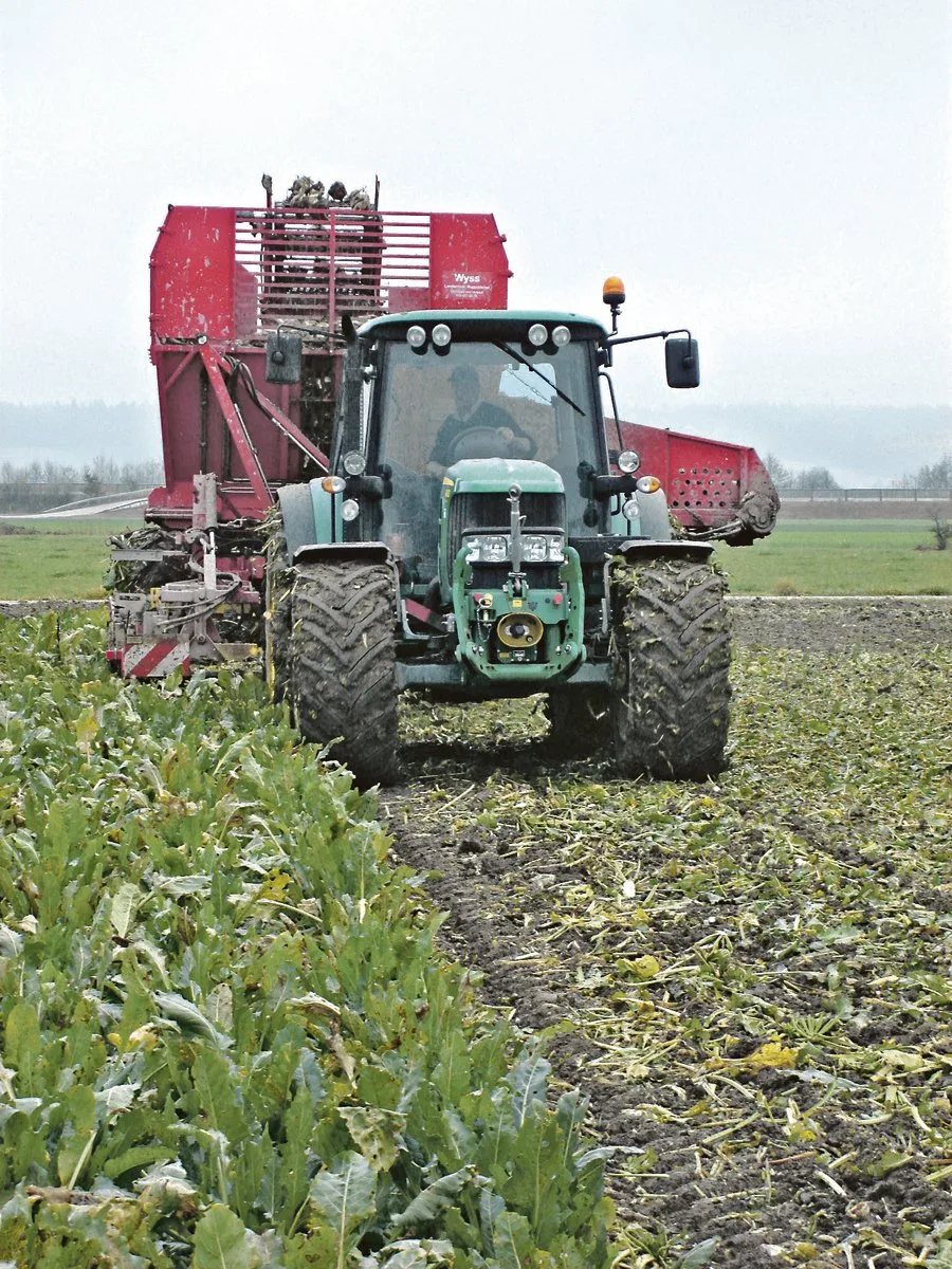 dcd580a3c60764cc21329ae0a253b9ee6f395470 Nasse Böden erschweren die Rübenernte.(Bild BauZ)