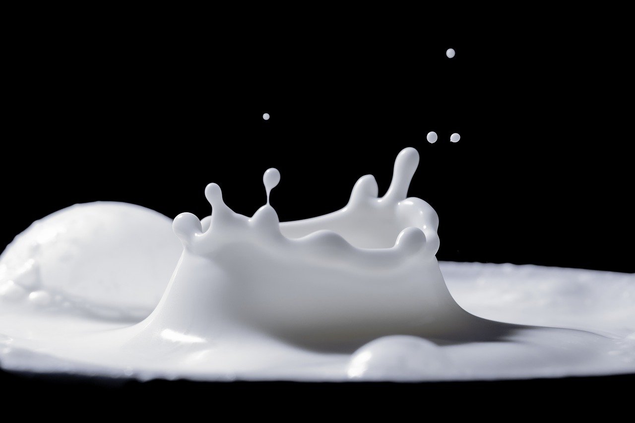Die Vereinigten Milchbauern Mitte-Ost fordern die Auszahlung von höheren Milchpreisen