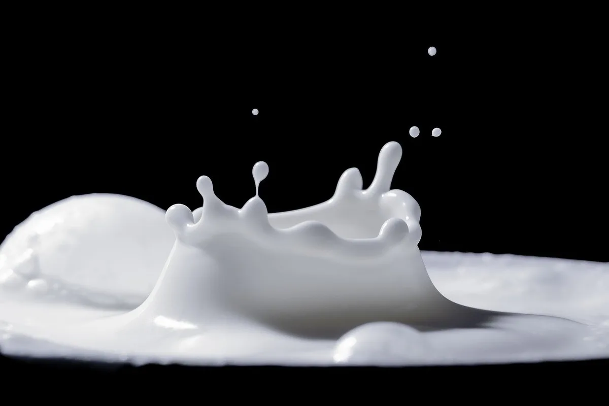 Die Vereinigten Milchbauern Mitte-Ost fordern die Auszahlung von höheren Milchpreisen