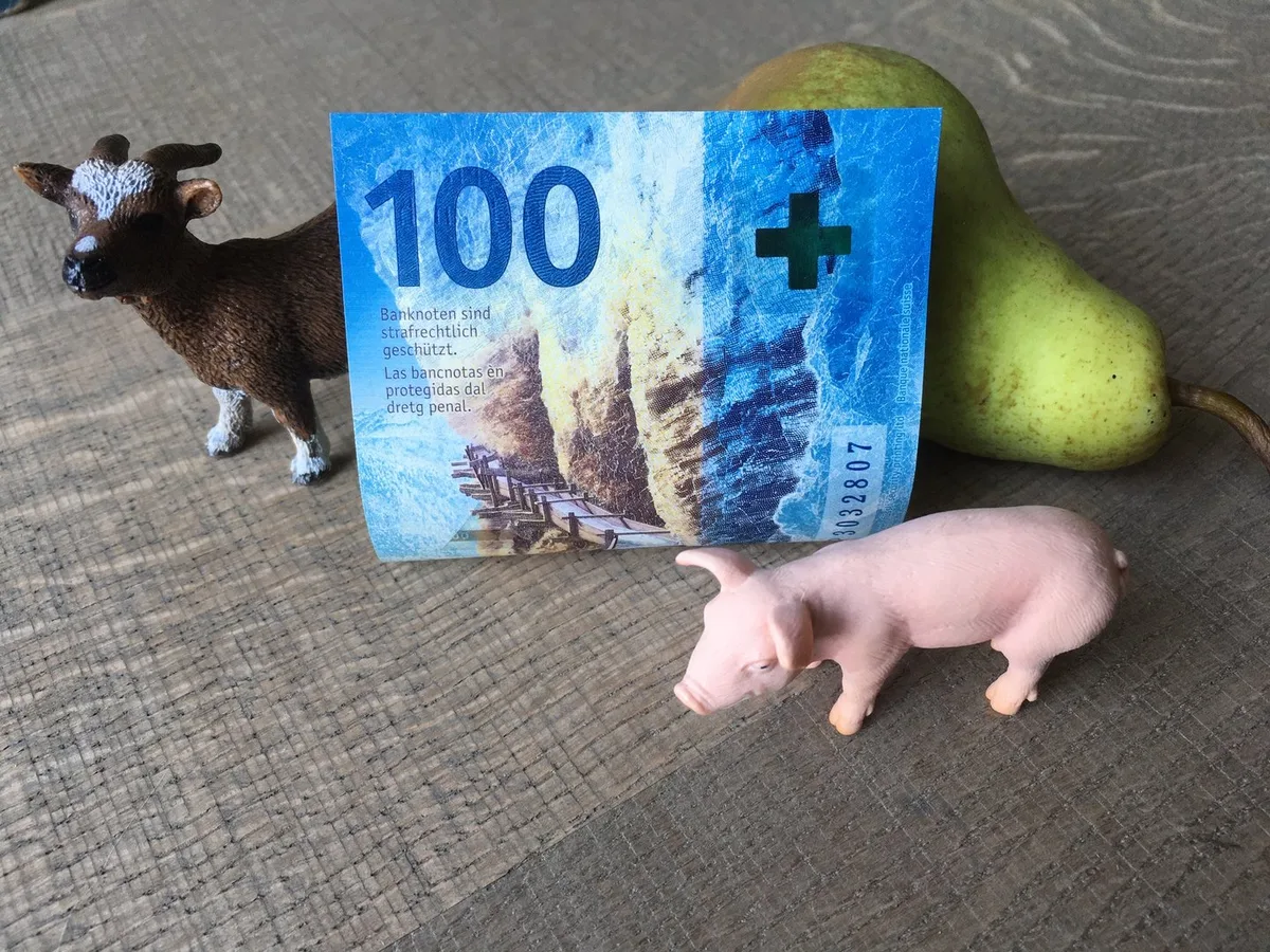 Geld_jil_Schuller Nach Finanzproblemen: Der Bauernverband beider Basel sieht Licht am Ende des Tunnels