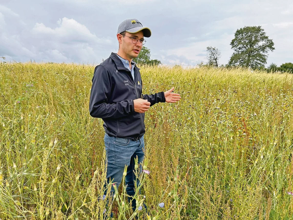 Simon Küng ist Bereichsleiter Biodiversität und steht in einer Buntbrache. Das sei der schwierigste BFF-Typ und darum für Einsteiger nicht unbedingt geeignet.
