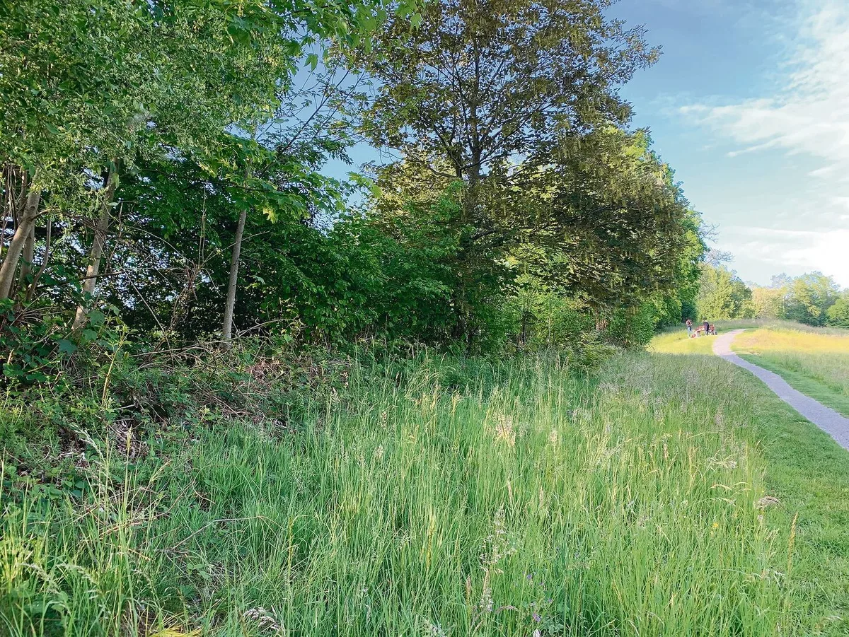 94b2666d8ec90b47a019975aa5b25af2e0cb959d126f65f7682ae417297d0564 Das Lawa hat die Problematik der Abgrenzung Wald-Hecke-Landnutzung erkannt
