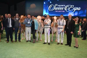 Champion Wahl (v.l.n.r.): Siegerin Jowis Incas Flavia von Erich Zingre aus Grund-Gstaad. Reserve Champion: Mr Savage Pastique von Roger Frosard aus Les Pommerats. Honorable Mention: Kolly-JL Vincent Coucoula von Ferme Kolly aus Pont-la-Ville. (Bilder Peter Fankhauser)