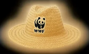 Ein Mitarbeiter am Bundesamt ist Präsident einer kantonalen WWF-Sektion. Kein Problem, sagen beide.