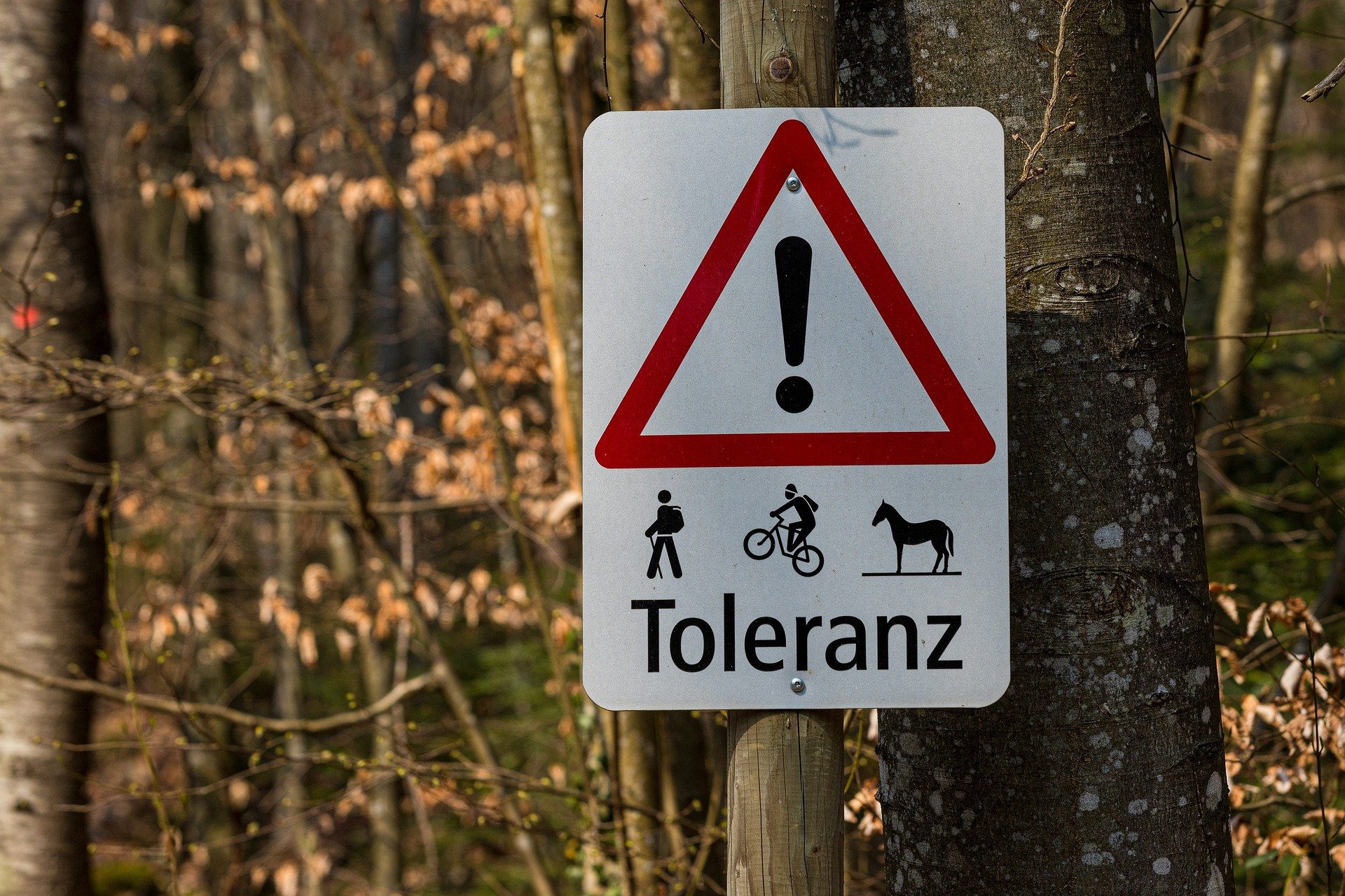 Um Konflikte zu verhindern, sollen Waldbsucher den Wald-Knigge beachten und respektvoll mit der Natur umgehen. (Bild pixabay)