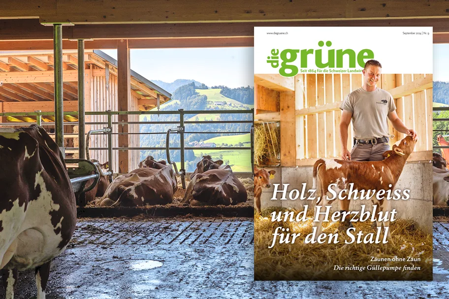 «die grüne» im September 2024 – Holz, Schweiss und Herzblut für den Stall