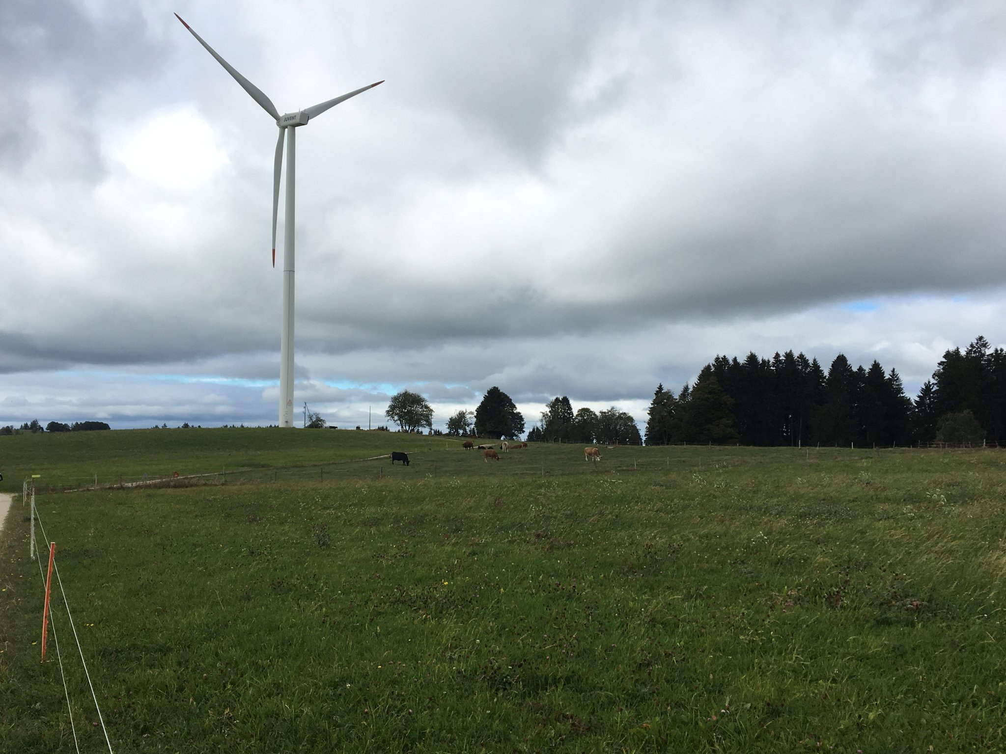Kürzere Verfahren bei Windenergieanlagen gewünscht