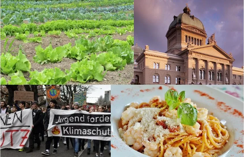 99e527933a501ef5761678ad6feb74cf5836d170 Landwirtschaft, Politik, gesellschaftliche Bewegungen und individuelle Kaufentscheide: sie alle sind entscheidende Faktoren für den Umbau der derzeitigen Produktion hin zu mehr Nachhaltigkeit. (Bild Fotomontage jsc)