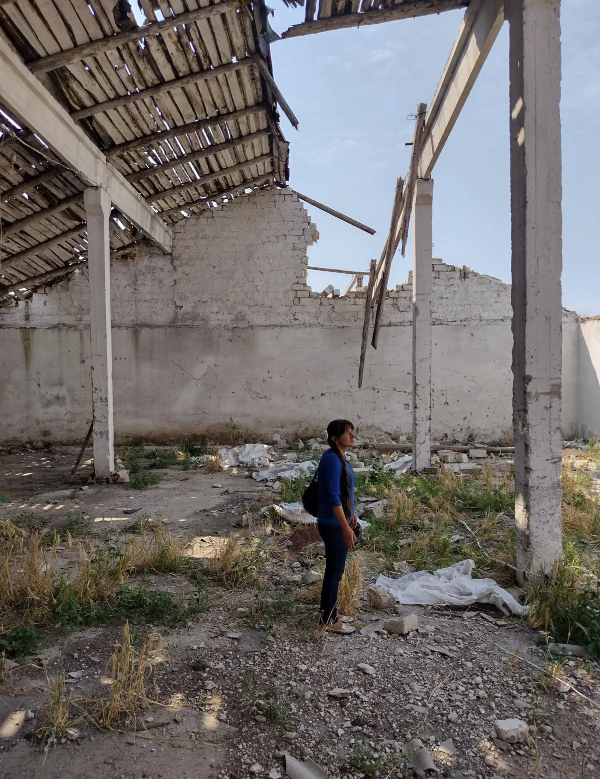 golub_imy «Wenige Tage nach der Invasion war die Ernte verbrannt»