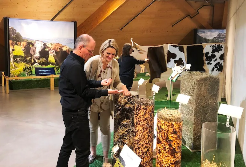 90b501a0f34b75ad188f93c06272081734531cc7 Die neue Ausstellung in Spreitenbach spricht alle Sinne an. (Bild zVg)