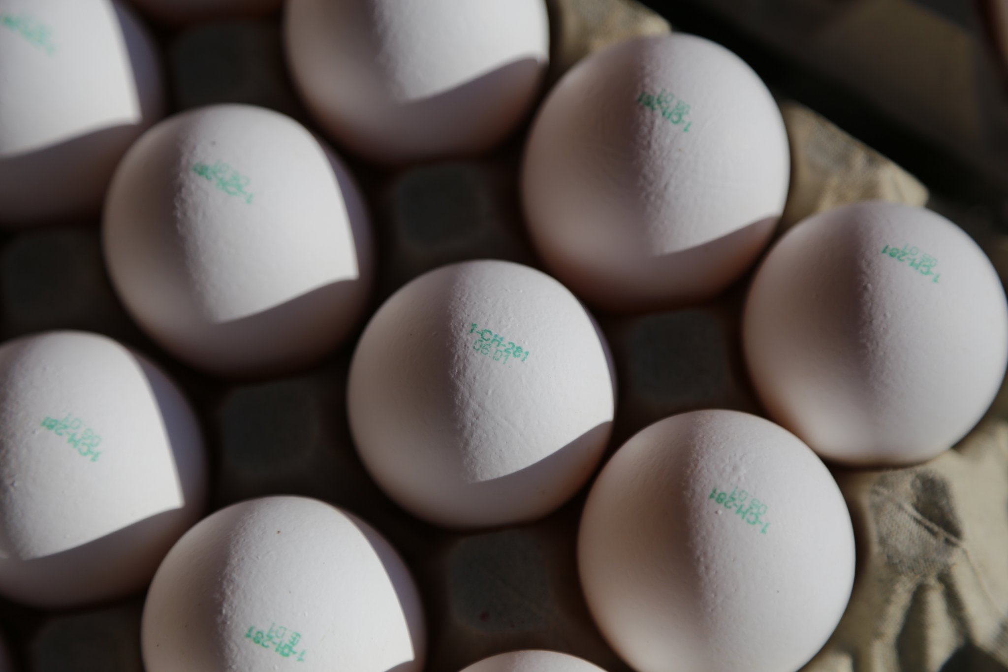 Schafft der Eiermarkt den Turnaround?