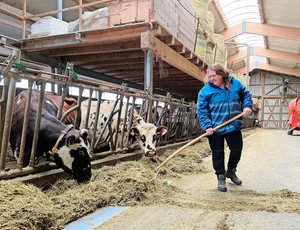 Mireille Hirt-Sturny in ihrem Stall. Ihre Mandate bei den Schweizer Milchproduzenten und der Branchenorganisation Milch behält sie vorerst.