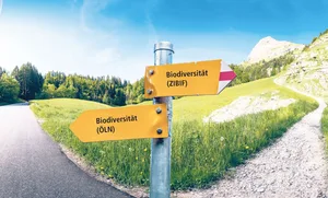 Biodiversität an der Weggabelung. Sollen Landwirte in Zukunft vermehrt zielorientiert (rechter Weg) mit mehr Eigenverantwortung oder weiterhin massnahmenorientiert (linker Weg) mit weniger Freiheiten wirtschaften?