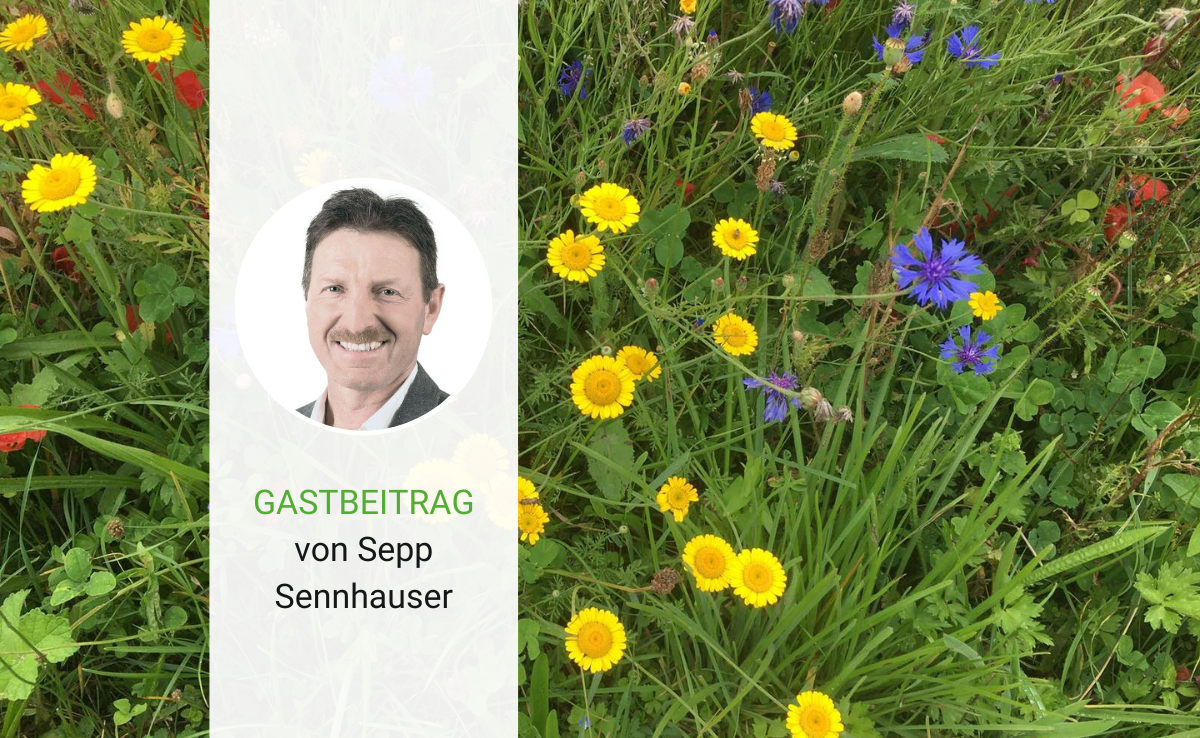 «Wir Bäuerinnen und Bauern werden als Versuchsbetriebe missbraucht»