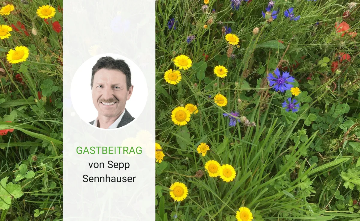 Artikel_Gastbeitrag_BauZ_Sennhauser «Wir Bäuerinnen und Bauern werden als Versuchsbetriebe missbraucht»