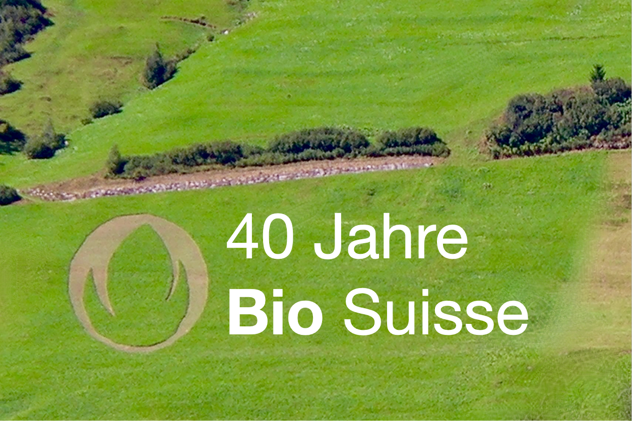 Symbolbild einer Bergwiese mit der daraus gemähten Bio-Knospe.