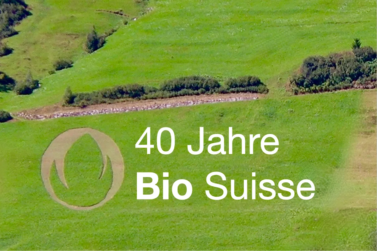 40-jahre-bio-suisse Symbolbild einer Bergwiese mit der daraus gemähten Bio-Knospe.