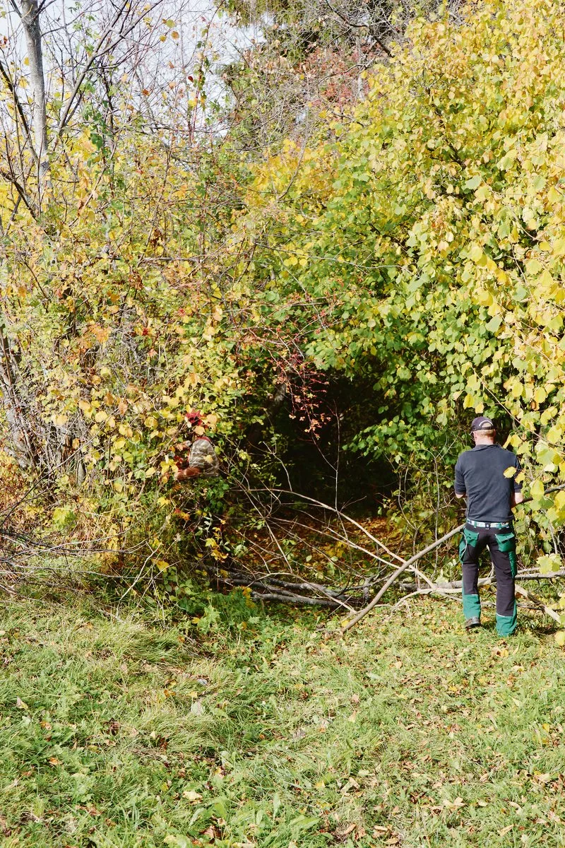 6f2a04b4edc43b2638eb189d48a3dc311b290286 Bild links: Nach dem Schnitt der Hecke soll der Wiesenweg mit dem Transporter befahrbar sein. Mitte: Wenn die Säge nicht zuunterst angesetzt wird, bleibt Totholz stehen. Rechts: Christian Malär erklärt, worauf bei der Heckenpflege zu achten ist. (Bild Vrena Crameri-Daeppen)