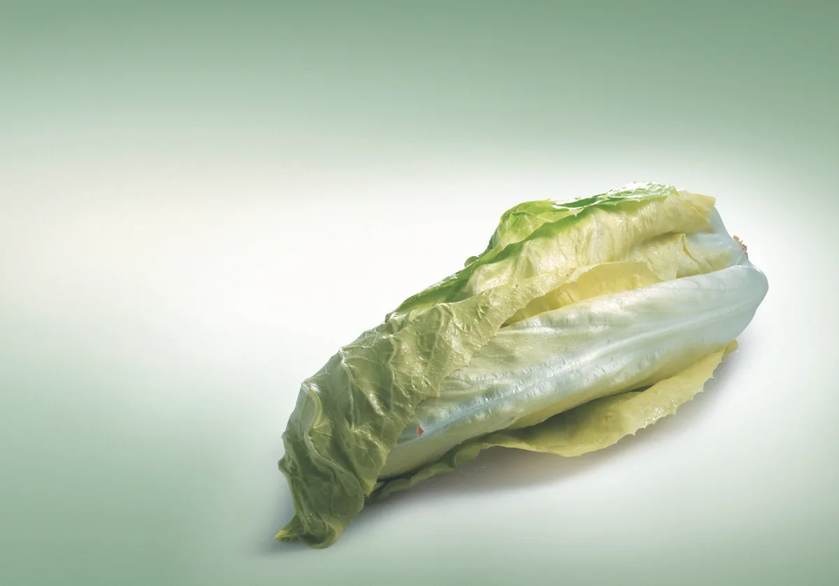 35b9abc23ded52da4f2d52a28af545b3e83b6683 Der Zuckerhut hat eine herb-bittere Note. (Bild: VSGP)