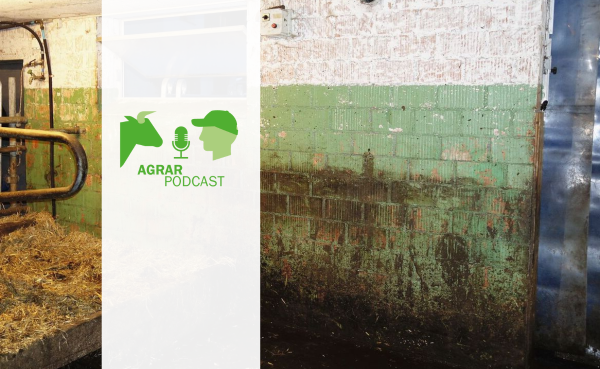 «AgrarPodcast» Episode 16: PCB im Stall, Indoor-Basilikum und eine Hofübergabe in Planung