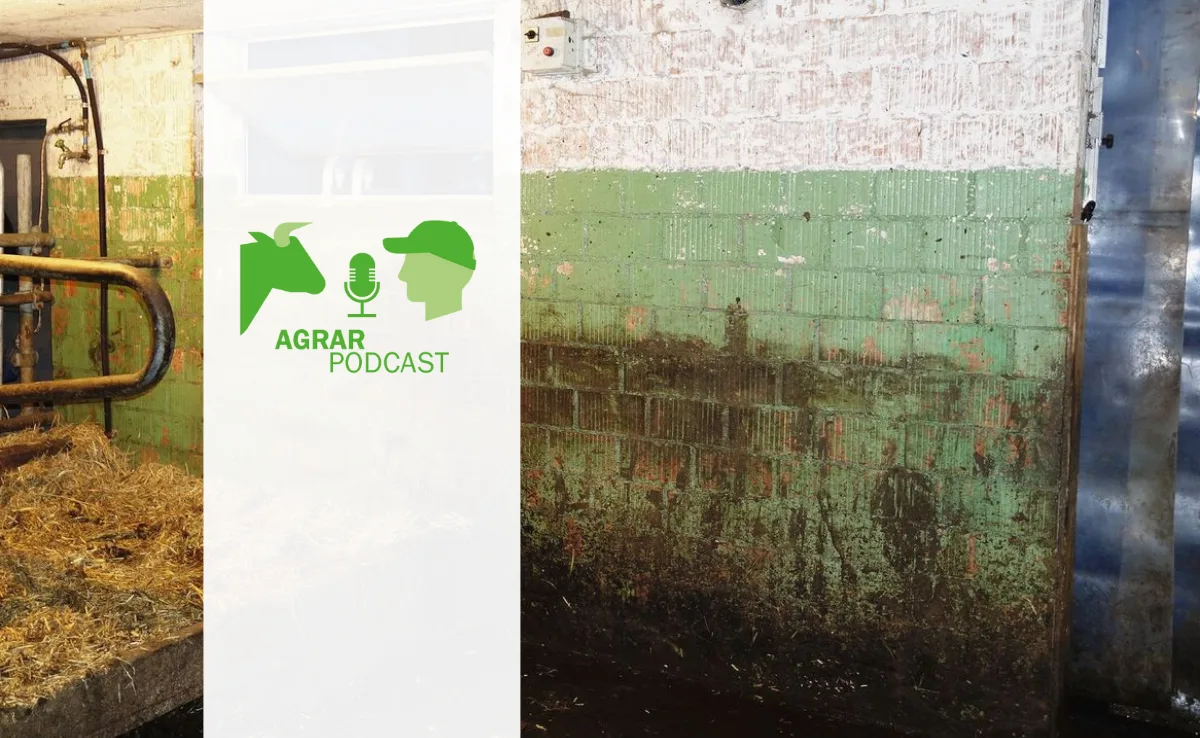 2 «AgrarPodcast» Episode 16: PCB im Stall, Indoor-Basilikum und eine Hofübergabe in Planung