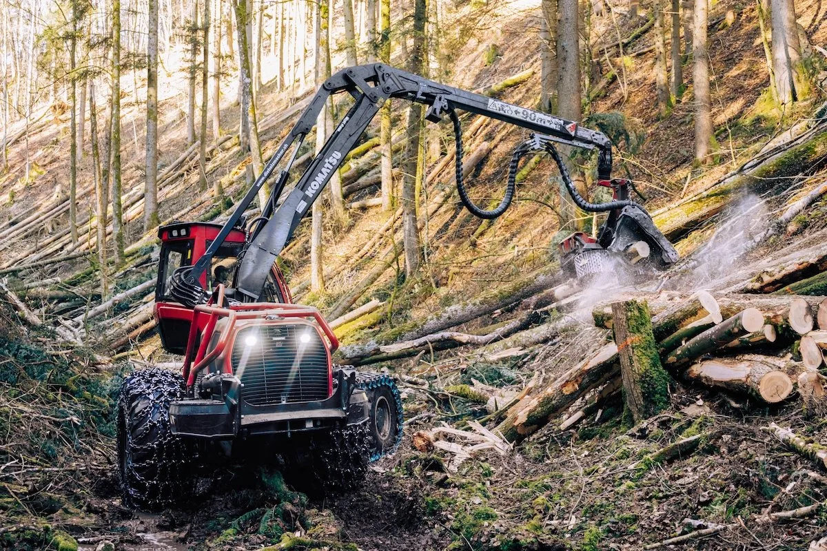 Titelbild_Agrarnetz.ch_01 Tried & Tested: Bewährungsprobe im Forst