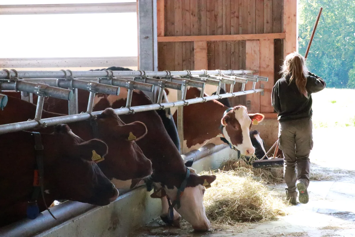 Der Alltag von Bäuerinnen und Landwirtinnen ist hart. An gewissen Zyklustagen kann er noch härter sein.