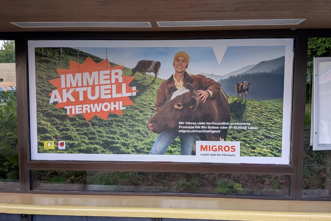 Bild Detailseite (Blog) – Tierwohl gross Die Migros wirbt mit Tierwohl – Tierschützern gleicht das Spott und Hohn.