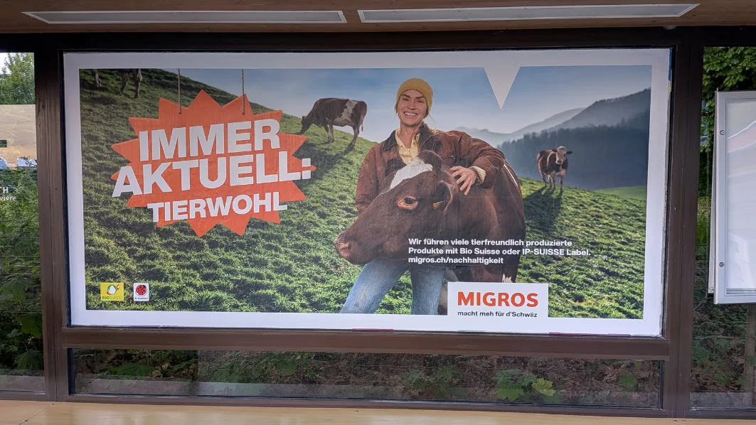 Bild Detailseite (Blog) – Tierwohl gross Die Migros wirbt mit Tierwohl – Tierschützern gleicht das Spott und Hohn.
