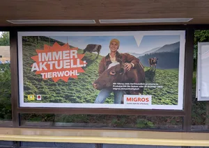 Die Migros wirbt mit Tierwohl – Tierschützern gleicht das Spott und Hohn.