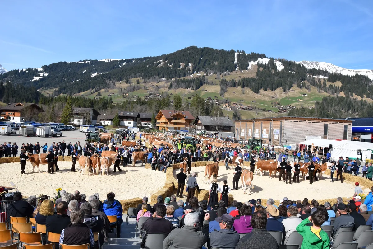 577c81ec0d664d3d6eee4db1b74b4560440a17ee Der eindrückliche Schauplatz in der Lenk BE.