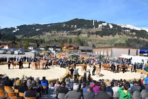 Der eindrückliche Schauplatz in der Lenk BE.