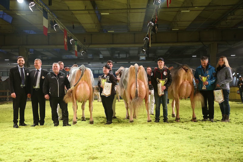 Das Siegerpodest der Europameisterschaft in Verona: v. l. Europameisterin H. U. Huser’s Blooming Palma, Reserve Europameisterin Jongleur Soraya, Honorable Mention Florin’s Norwin Gentel. (Bilder Braunvieh Schweiz)
