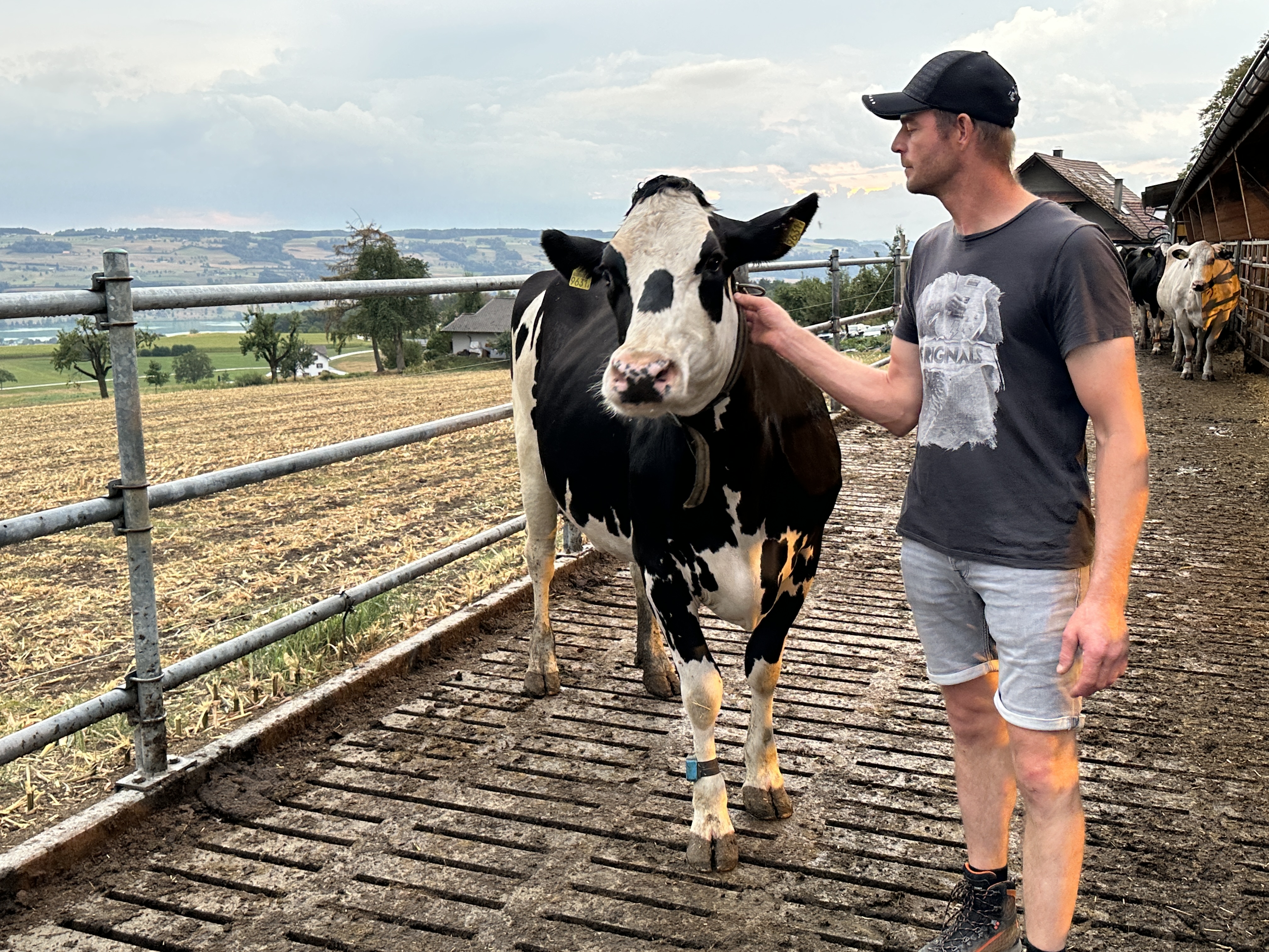 Ein Gespür für die Kühe. Philipp Furrer hat schweizweit den höchsten Betriebsdurchschnitt mit über 15000 kg Milch pro Kuh.