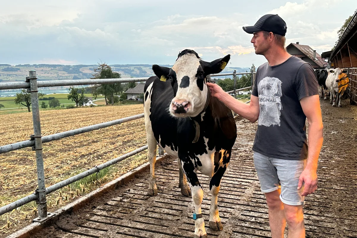Gespür für Kühe Philipp Furrer.jpeg Ein Gespür für die Kühe. Philipp Furrer hat schweizweit den höchsten Betriebsdurchschnitt mit über 15000 kg Milch pro Kuh.