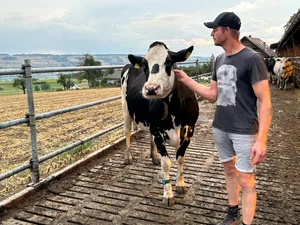 Ein Gespür für die Kühe. Philipp Furrer hat schweizweit den höchsten Betriebsdurchschnitt mit über 15000 kg Milch pro Kuh.